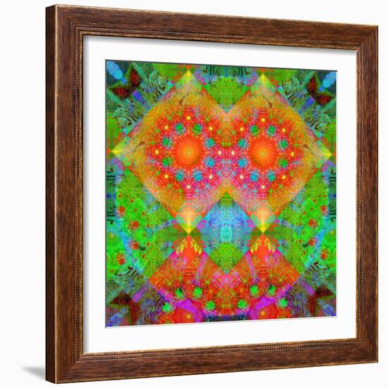 Geometrical Ornament of Flower Photos-Alaya Gadeh-Framed Photographic Print