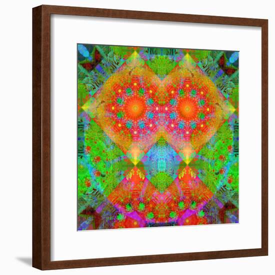 Geometrical Ornament of Flower Photos-Alaya Gadeh-Framed Photographic Print