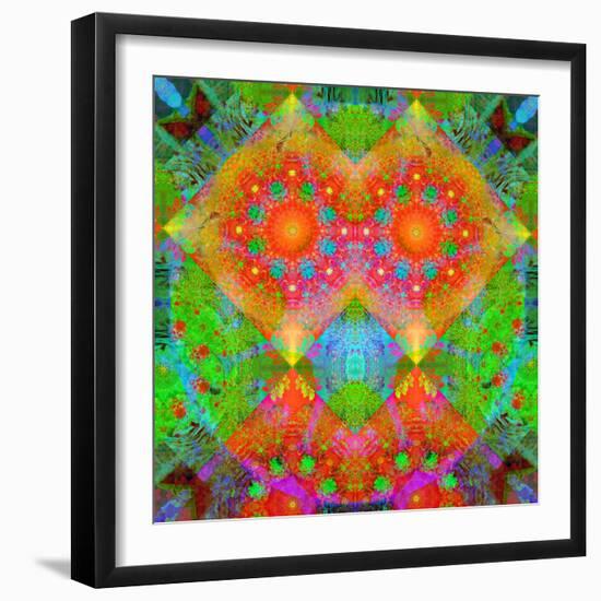 Geometrical Ornament of Flower Photos-Alaya Gadeh-Framed Photographic Print