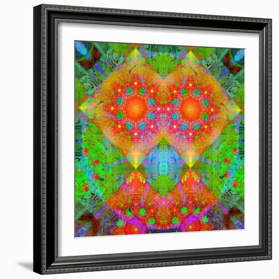 Geometrical Ornament of Flower Photos-Alaya Gadeh-Framed Photographic Print