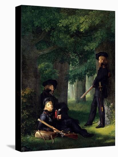 Stretched Canvas Print, , large