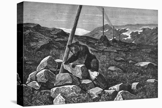 Stretched Canvas Print, , large