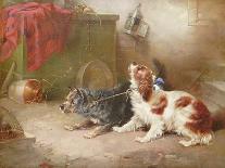 Three Spaniels Flushing Mallard-George Armfield-Mounted Giclee Print