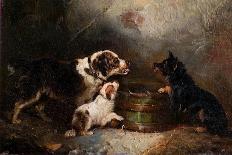 Three Spaniels Flushing Mallard-George Armfield-Framed Premier Image Canvas