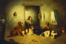 Three Spaniels Flushing Mallard-George Armfield-Framed Giclee Print