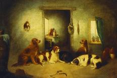 Three Spaniels Flushing Mallard-George Armfield-Premier Image Canvas