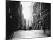 Photographic Print