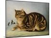 Premium Giclee Print