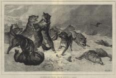 Bloodhounds on the Trail-George Bouverie Goddard-Giclee Print