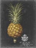 Silver Rock Melon, 1812-George Brookshaw-Giclee Print