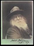 'The Laughing Philosopher', a Portrait of Walt Whitman (1819-91) September 1887-George C. Cox-Photographic Print