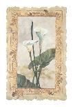 Orchid-George Caso-Framed Art Print