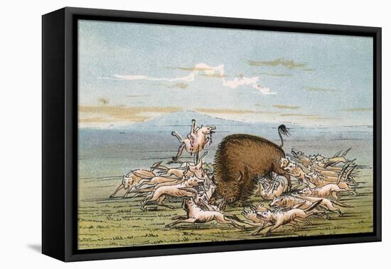 Stretched Canvas Print, , large