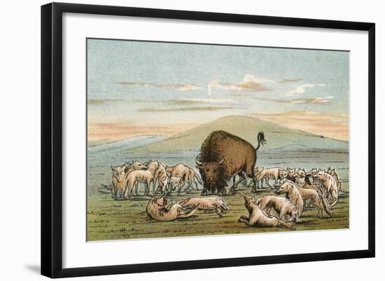 Photographic Print, , large