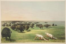 Indians Hunting the Buffalo under a Wolf-Skin Mask, from 'Illustrations of the Manners, Customs & C-George Catlin-Giclee Print