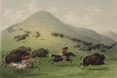 Buffalo Bull, 1835-George Catlin-Giclee Print