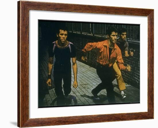 George Chakiris as Bernardo Leads Two Others Into Turf of Rival Gang in West Side Story-Gjon Mili-Framed Premium Photographic Print