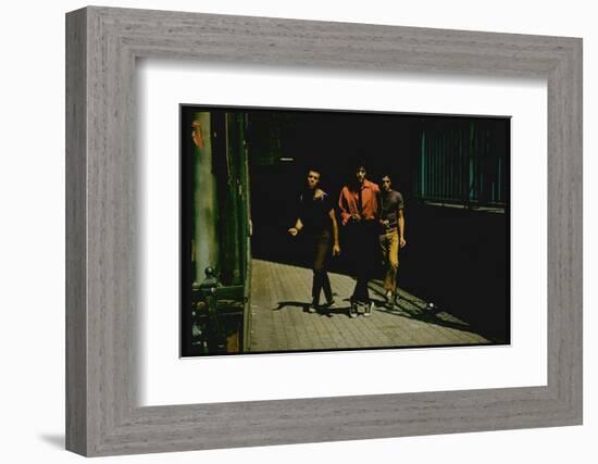 George Chakiris as Bernardo Leads Two Others Into Turf of Rival Gang in West Side Story-Gjon Mili-Framed Photographic Print