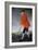 George Chambers:-George Chambers-Framed Giclee Print