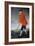 George Chambers:-George Chambers-Framed Giclee Print