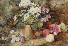 A Bird's Nest and Blossom on a Mossy Bank (Oil)-George Clare-Giclee Print