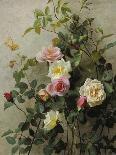 Roses, 1880-George Cochran Lambdin-Framed Giclee Print