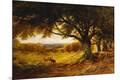 Premium Giclee Print