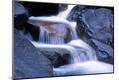 Premium Photographic Print