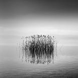 Lady of the Lake-George Digalakis-Giclee Print
