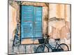 Photographic Print