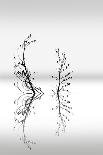 Trees With Birds 2-George Digalakis-Photographic Print