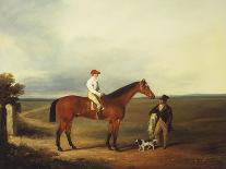 A Racehorse with a Jockey Up, with a Trainer and a Spaniel by a Gate-George Fenn (Attr to)-Giclee Print