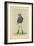 George Fordham-Sir Leslie Ward-Framed Giclee Print
