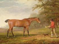 Horse, Rider and Whippet-George Garrard-Framed Giclee Print