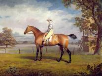 Horse, Rider and Whippet-George Garrard-Giclee Print