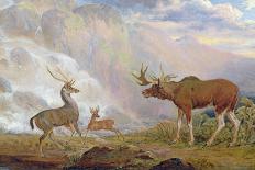 The Earl of Orford's Elk from Norway. Antelope from Africa and Stag from Prince's Island-George Garrard-Giclee Print