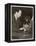 George Gershwin American Composer-null-Framed Premier Image Canvas