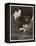 George Gershwin American Composer-null-Framed Premier Image Canvas