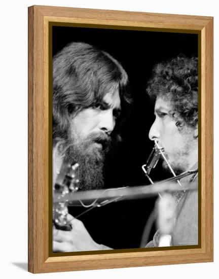 George Harrison and Bob Dylan Performing Together at Rock Concert Benefiting Bangladesh-Bill Ray-Framed Premier Image Canvas