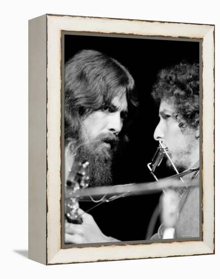 George Harrison and Bob Dylan Performing Together at Rock Concert Benefiting Bangladesh-Bill Ray-Framed Premier Image Canvas