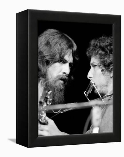 George Harrison and Bob Dylan Performing Together at Rock Concert Benefiting Bangladesh-Bill Ray-Framed Premier Image Canvas