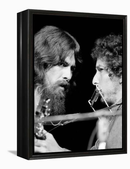 George Harrison and Bob Dylan Performing Together at Rock Concert Benefiting Bangladesh-Bill Ray-Framed Premier Image Canvas