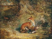 A Fox with a Pheasant-George Havell-Laminated Giclee Print