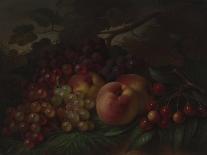 Peaches, Grapes and Cherries, Ca 1860-1870-George Henry Hall-Giclee Print