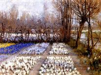 A Cottage and a Field of Hyacinths-George Hitchcock-Giclee Print