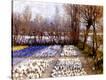 Stretched Canvas Print