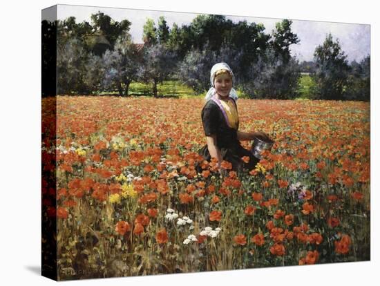 Stretched Canvas Print, , large
