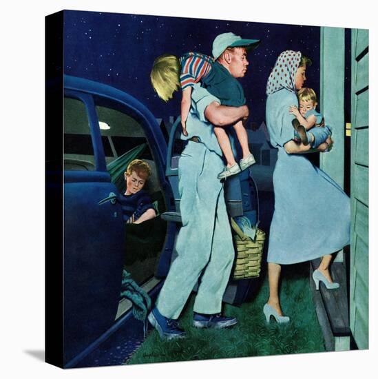 Stretched Canvas Print, , large