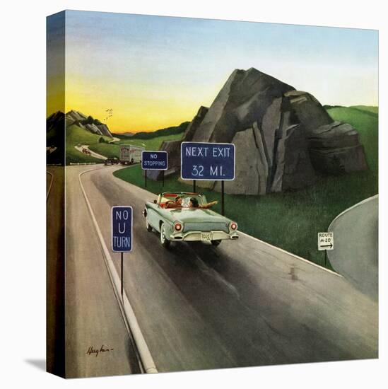 Stretched Canvas Print, , large