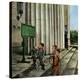 Stretched Canvas Print